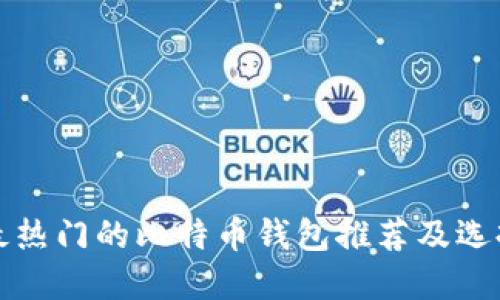 全球最热门的比特币钱包推荐及选择指南