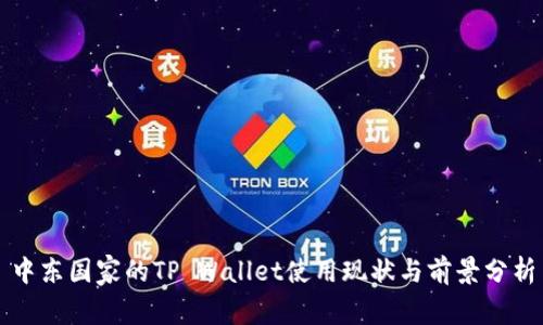 中东国家的TP Wallet使用现状与前景分析