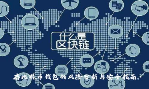 存比特币钱包的风险分析与安全指南