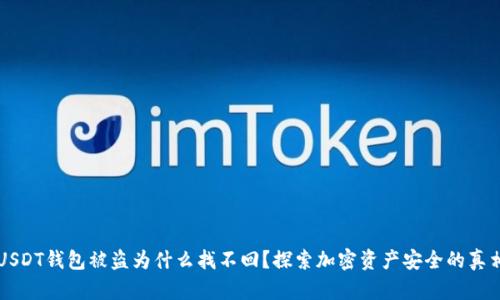 USDT钱包被盗为什么找不回?探索加密资产安全的真相