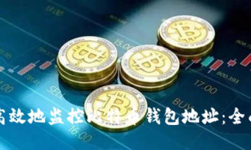 如何高效地监控比特币钱包地址:全面指南