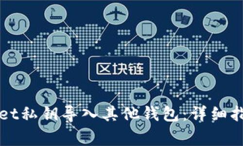 如何将TPWallet私钥导入其他钱包:详细指南与注意事项
