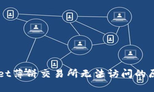### TPWallet薄饼交易所无法访问的原因与解决方案
