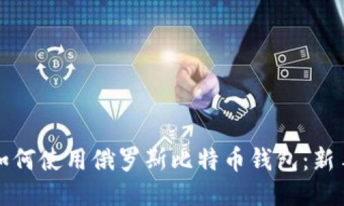 优质如何使用俄罗斯比特币钱包:新手指南