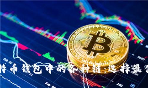 深入了解比特币钱包中的各种链：选择最佳钱包的指南