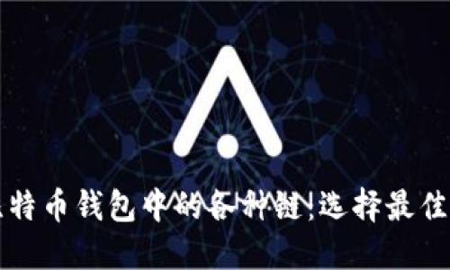 深入了解比特币钱包中的各种链：选择最佳钱包的指南