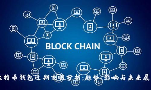 比特币钱包近期交易分析：趋势、影响与未来展望
