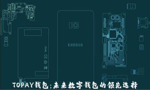 
TOPAY钱包：未来数字钱包的领先选择