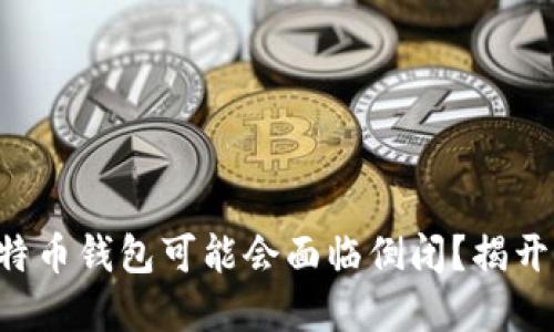 为何你的比特币钱包可能会面临倒闭？揭开背后的秘密！