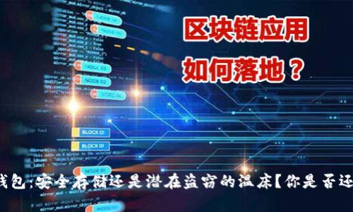 比特币钱包:安全存储还是潜在盗窃的温床?你是否还在犹豫?