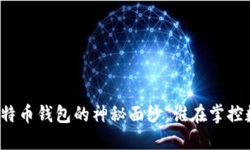 揭开中国早期比特币钱包的神秘面纱,谁在掌控数字货币的未来?