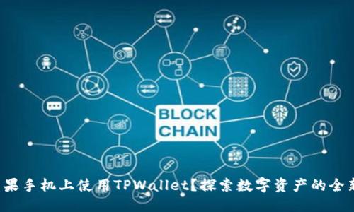 如何在苹果手机上使用TPWallet?探索数字资产的全新可能性!