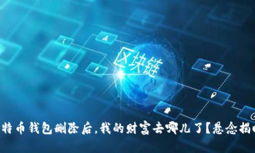 比特币钱包删除后,我的财富去哪儿了?悬念揭晓!