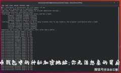 比特币钱包中的神秘加密地址：你无法想象的背