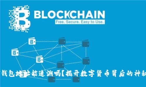 USDT钱包地址能追溯吗？揭开数字货币背后的神秘面纱
