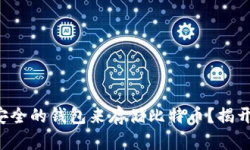 如何选择最安全的钱包来存储比特币？揭开背后的秘密！