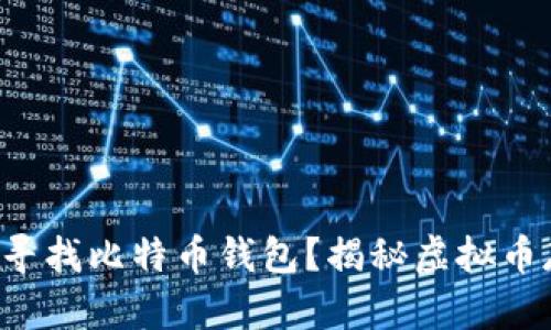 你是否也在寻找比特币钱包?揭秘虚拟币存储的秘密!
