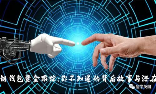 区块链钱包资金跟踪:你不知道的背后故事与潜在风险