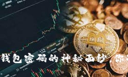 揭开比特币钱包密码的神秘面纱,你准备好了吗?