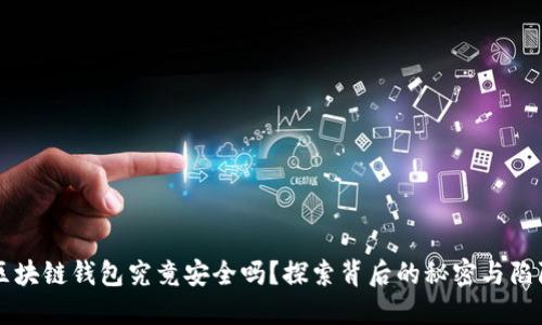 区块链钱包究竟安全吗？探索背后的秘密与陷阱