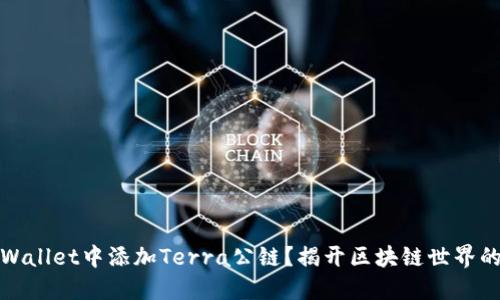 如何在TPWallet中添加Terra公链?揭开区块链世界的神秘面纱