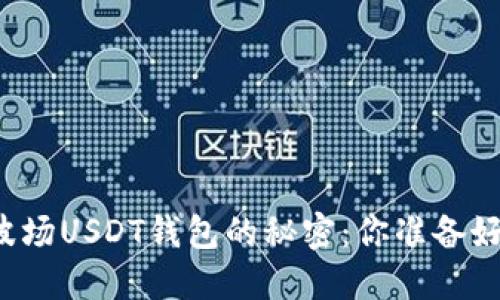 解锁波场USDT钱包的秘密：你准备好了吗？