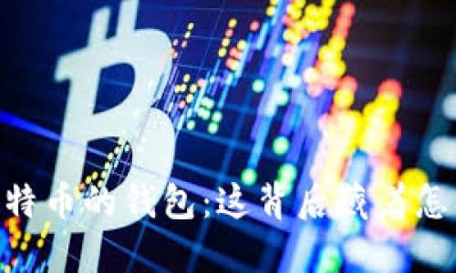 “10万个比特币的钱包：这背后藏着怎样的秘密？”