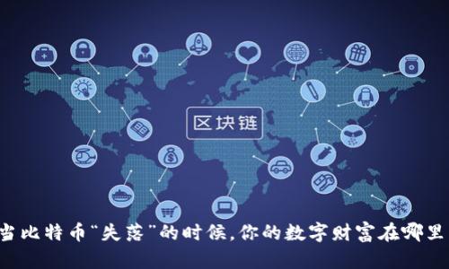 当比特币“失落”的时候,你的数字财富在哪里?