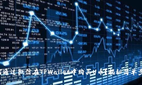 如何通过微信在TPWallet中购买U币?揭秘简单步骤!