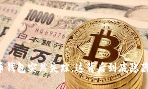 当比特币钱包突然失踪,这背后到底隐藏着什么?
