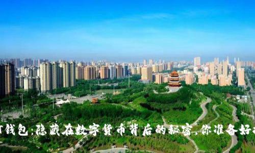 国际USDT钱包:隐藏在数字货币背后的秘密,你准备好探索了吗?