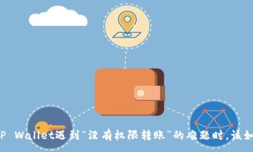:
当你在TP Wallet遇到“没有权限转账”的难题时,该如何破解?