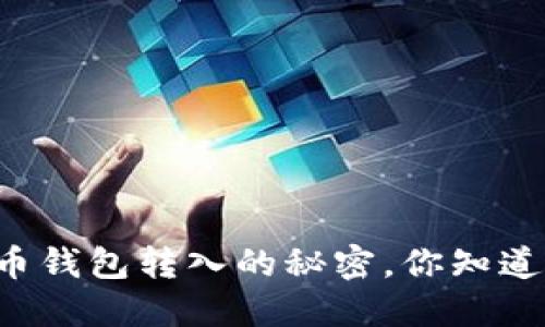 虚拟币钱包转入的秘密,你知道多少?