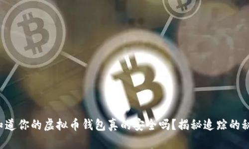 你知道你的虚拟币钱包真的安全吗?揭秘追踪的秘密!