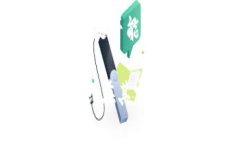 如果TPWallet（一些特定的加密钱包或应用）中币价