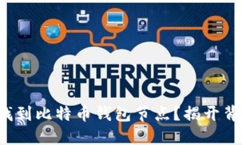 如何轻松找到比特币钱包节点？揭开背后的秘密！