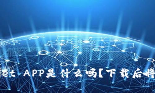 你知道TP Wallet APP是什么吗？下载后将看到哪些惊喜？