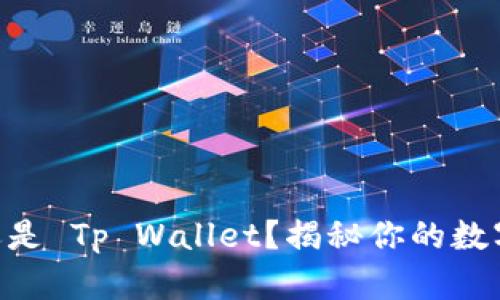 选择 Dp 钱包还是 Tp Wallet？揭秘你的数字资产最佳选择！