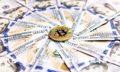 选择 Dp 钱包还是 Tp Wallet？揭秘你的数字资产最佳