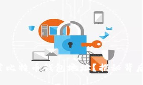 如何快速设置比特币钱包地址？揭秘背后的关键步骤！