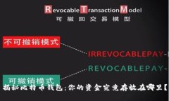 揭秘比特币钱包：你的资金究竟存放在哪里？