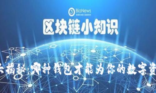 区块链钱包大揭秘：哪种钱包才能为你的数字资产保驾护航？