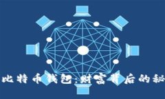 揭秘巨额比特币钱包：财富背后的秘密与挑战