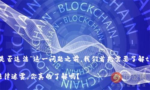 在讨论“tpwallet里怎么买币是否违法”这一问题之前，我们首先需要了解tpwallet以及相关的法律法规。

### tpwallet买币背后的法律迷雾，你真的了解吗？