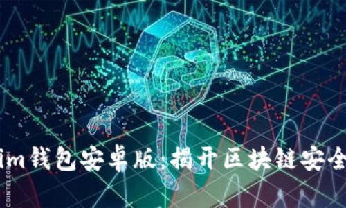 下载Token.im钱包安卓版：揭开区块链安全的神秘面纱