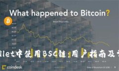 如何在TPWallet中使用BSC链：用户指南及常见问题解