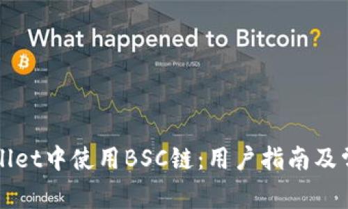 如何在TPWallet中使用BSC链：用户指南及常见问题解答