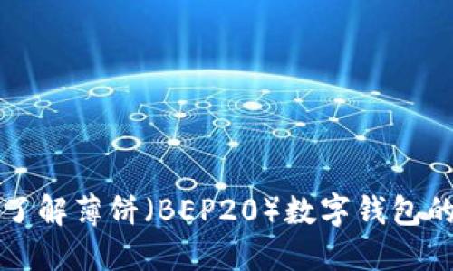  TPWallet：深入了解薄饼（BEP20）数字钱包的优势与使用技巧