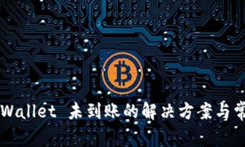 提币到 TP Wallet 未到账的解决方案与常见问题解答