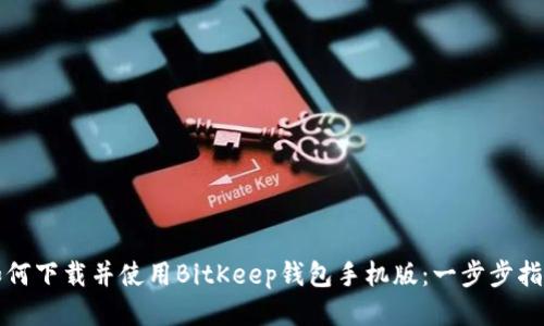 如何下载并使用BitKeep钱包手机版：一步步指南